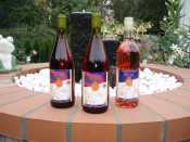 Blauer Bernburger Wein Jahrgang 2008